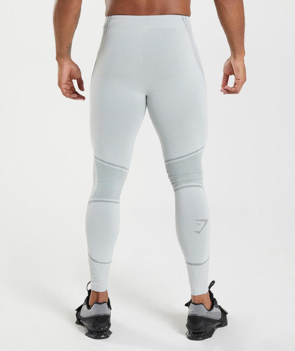 Rajstopy Męskie Gymshark 315 Seamless Głęboka Szare Szare | PL 4133SGL